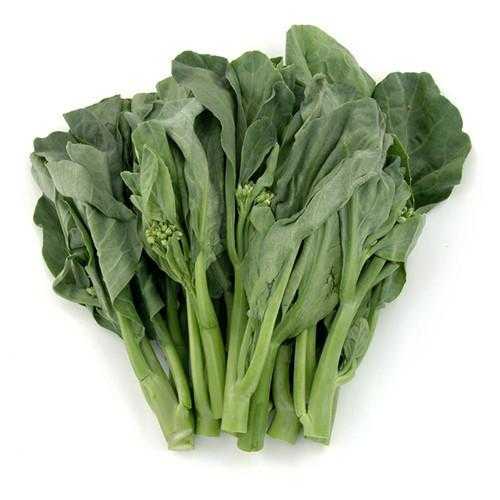 Chinese Broccoli 