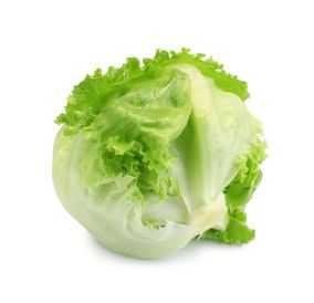 Lettuce