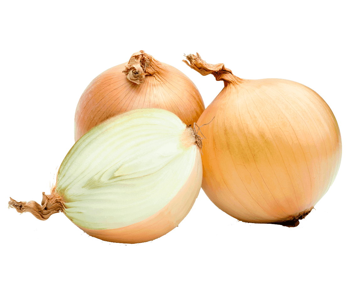 Onion