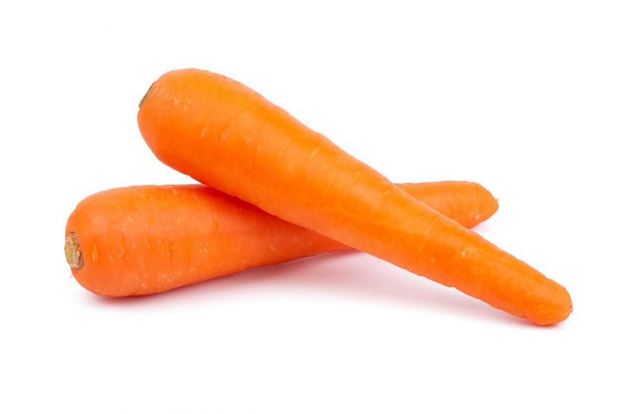 Carrot