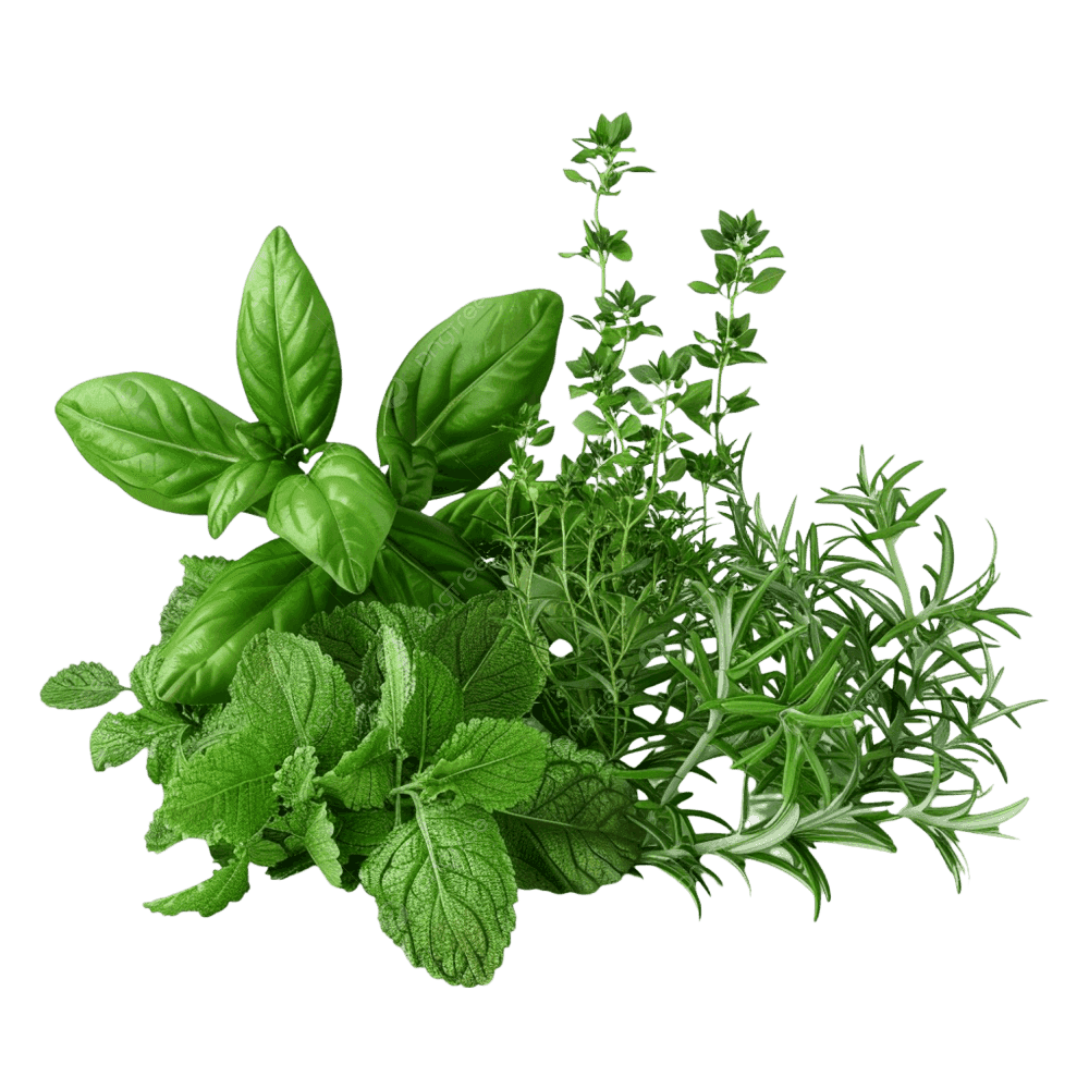 The Facts on Herbs