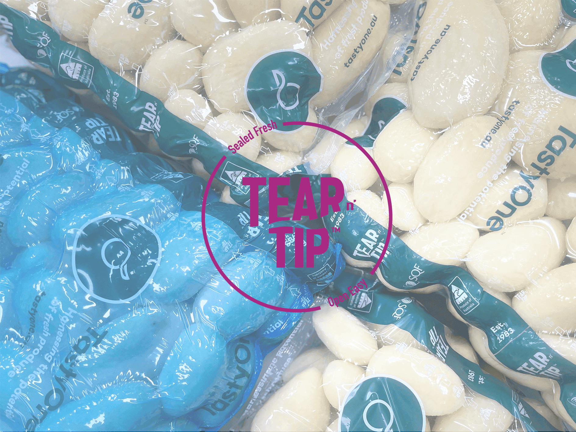 Tear n Tip launches