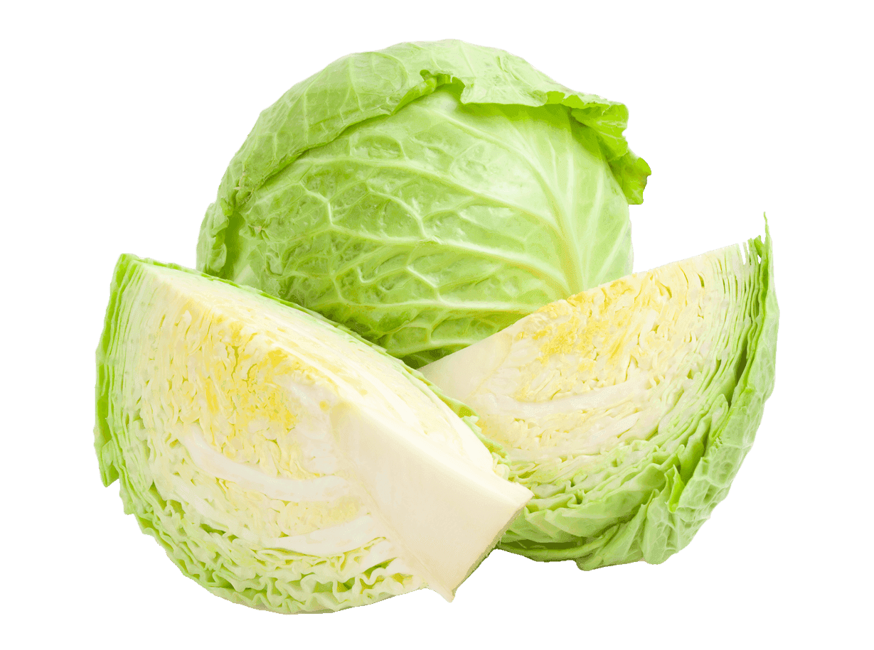 Cabbage