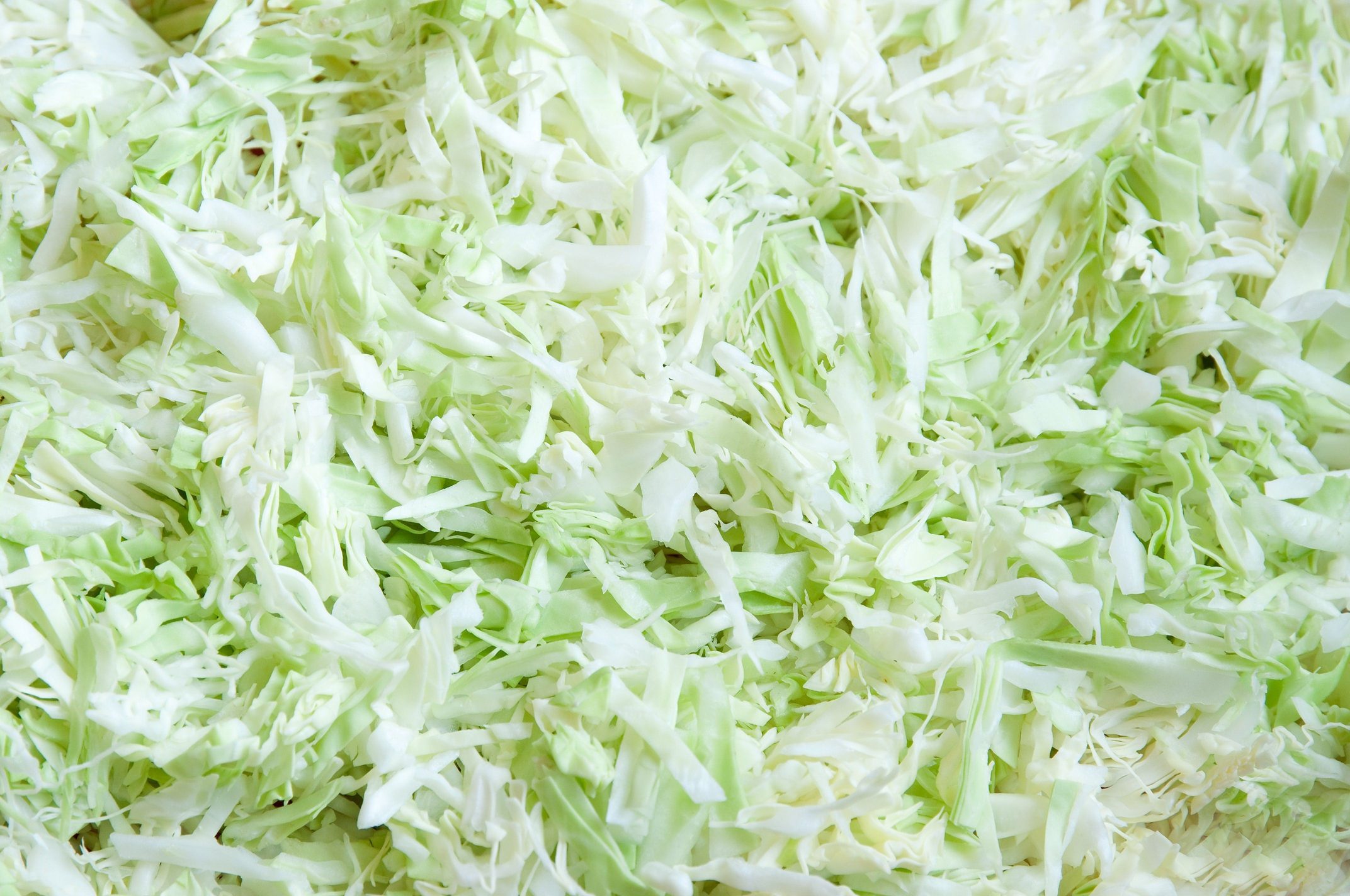 Wholesale Green Cabbage Supplier | Bulk & Processed | Tasty One