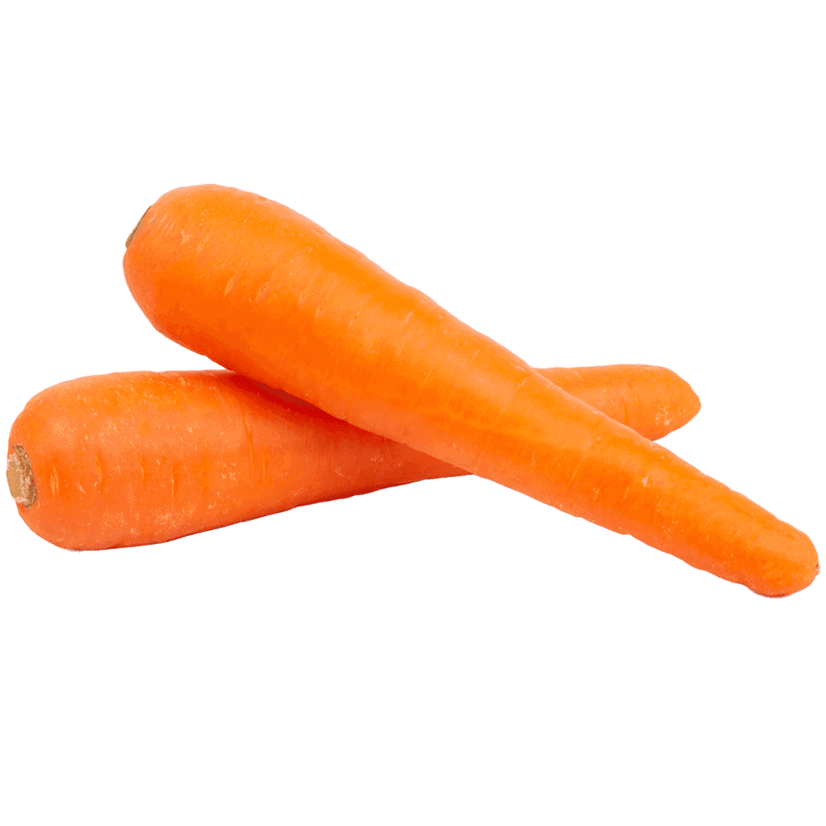 Carrot