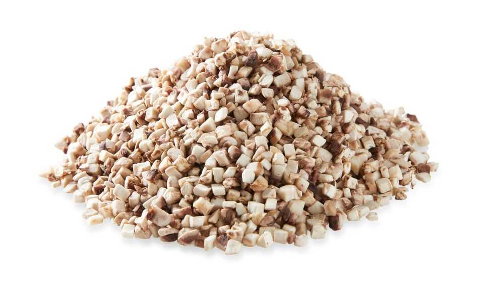 Mushrooms Diced (5mm/10mm/20mm)