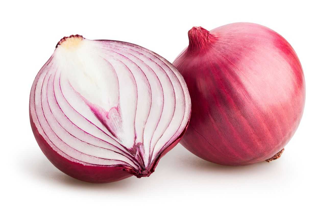 Onion