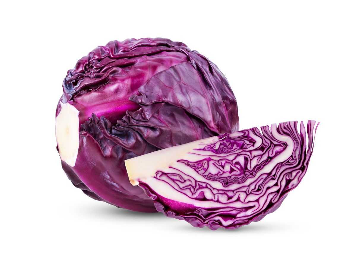 Cabbage 