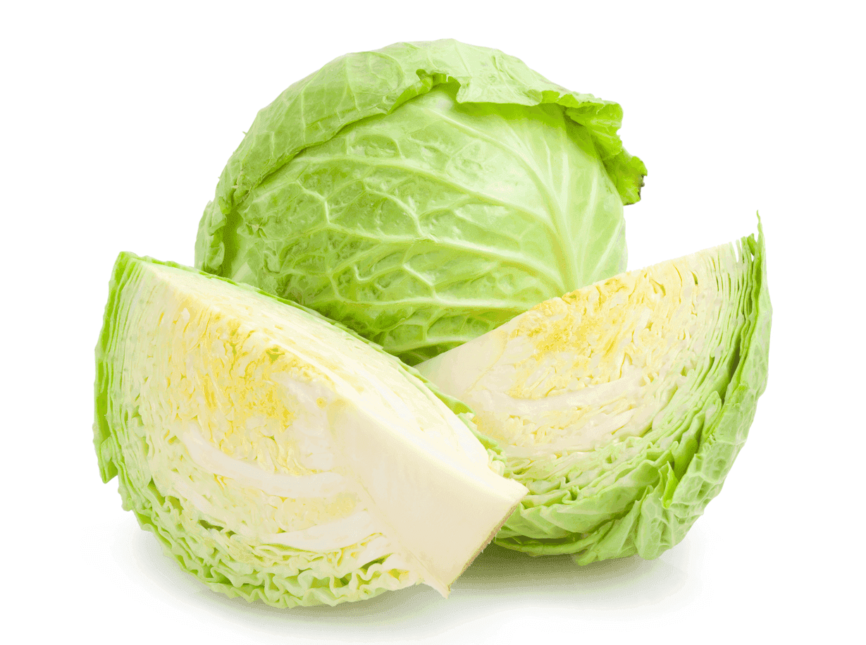 Cabbage